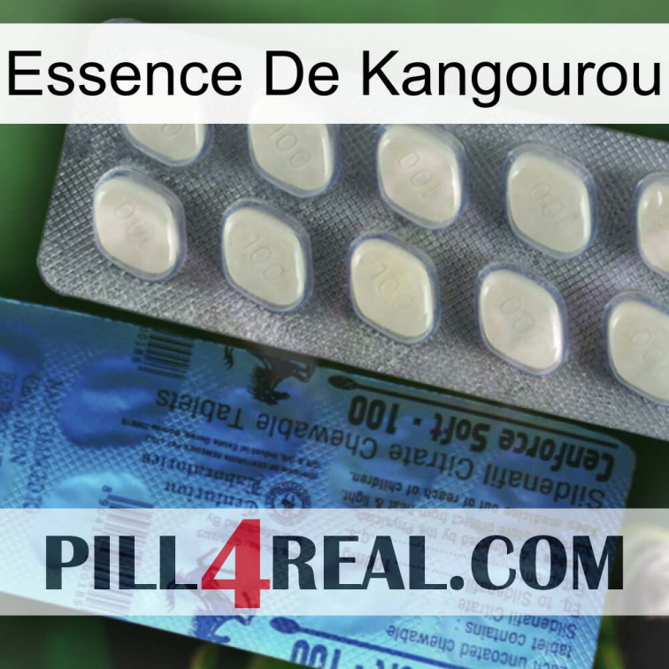 Kangaroo Essence 34